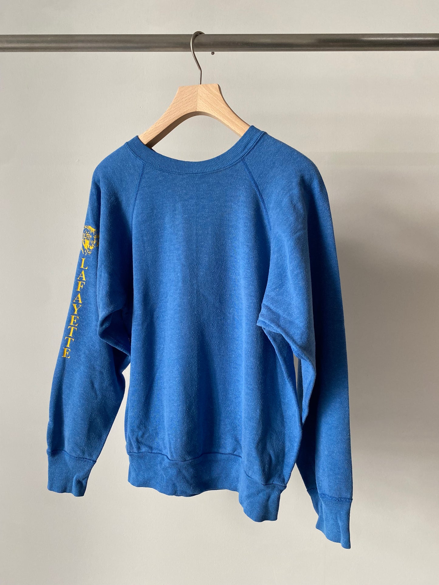 Sleeve print raglan sweat