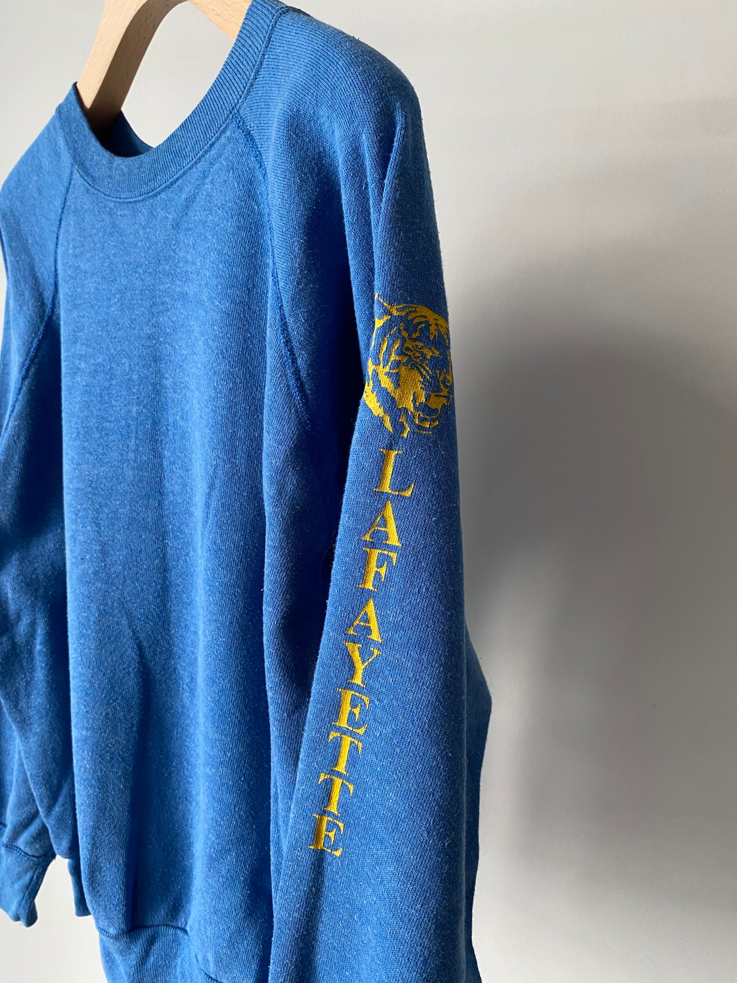 Sleeve print raglan sweat
